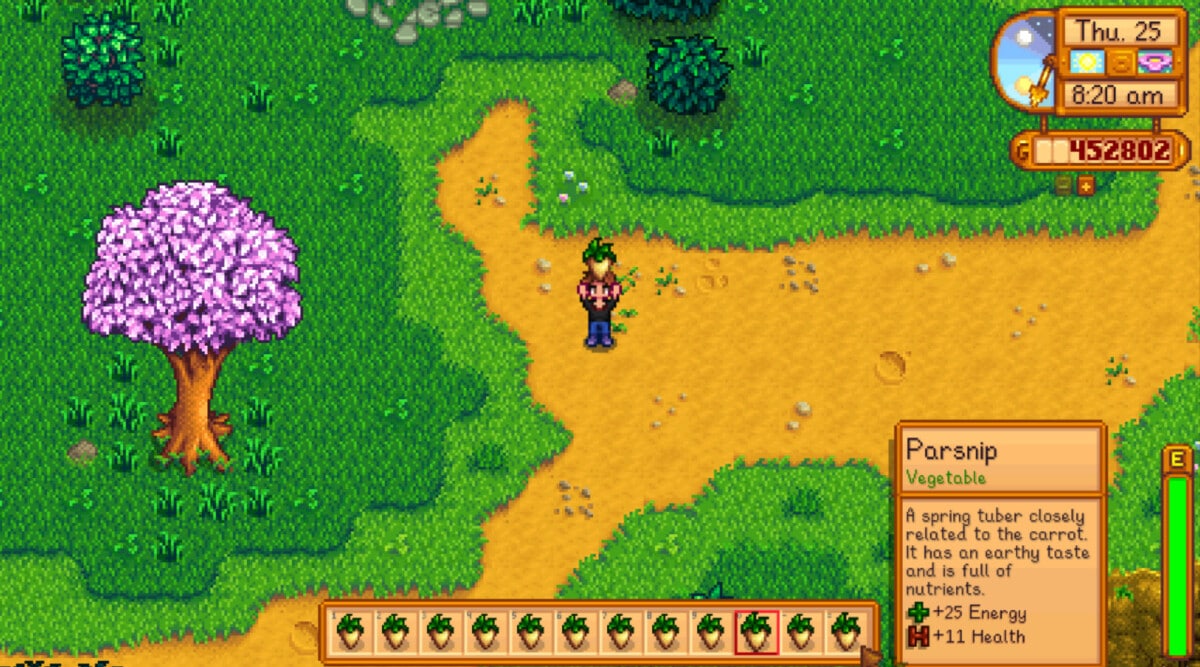 All You Need to Know About Parsnips in Stardew Valley